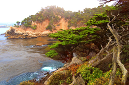 California